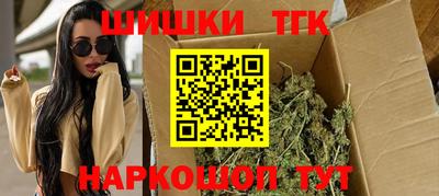 индика Гагарин