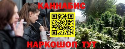 шишки Гатчина