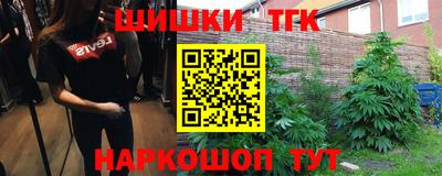 шишки Гатчина