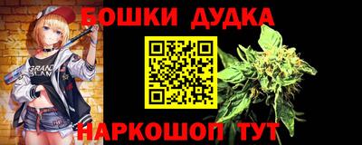индика Гагарин