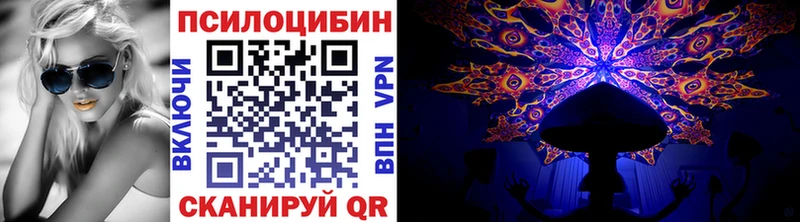 Псилоцибиновые грибы Psilocybine cubensis  Лосино-Петровский 