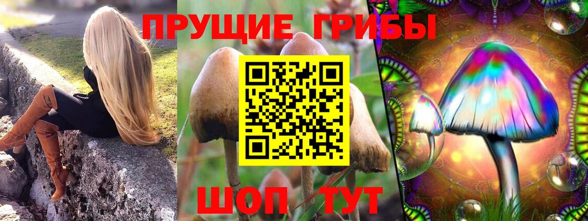 Псилоцибиновые грибы прущие грибы Лосино-Петровский