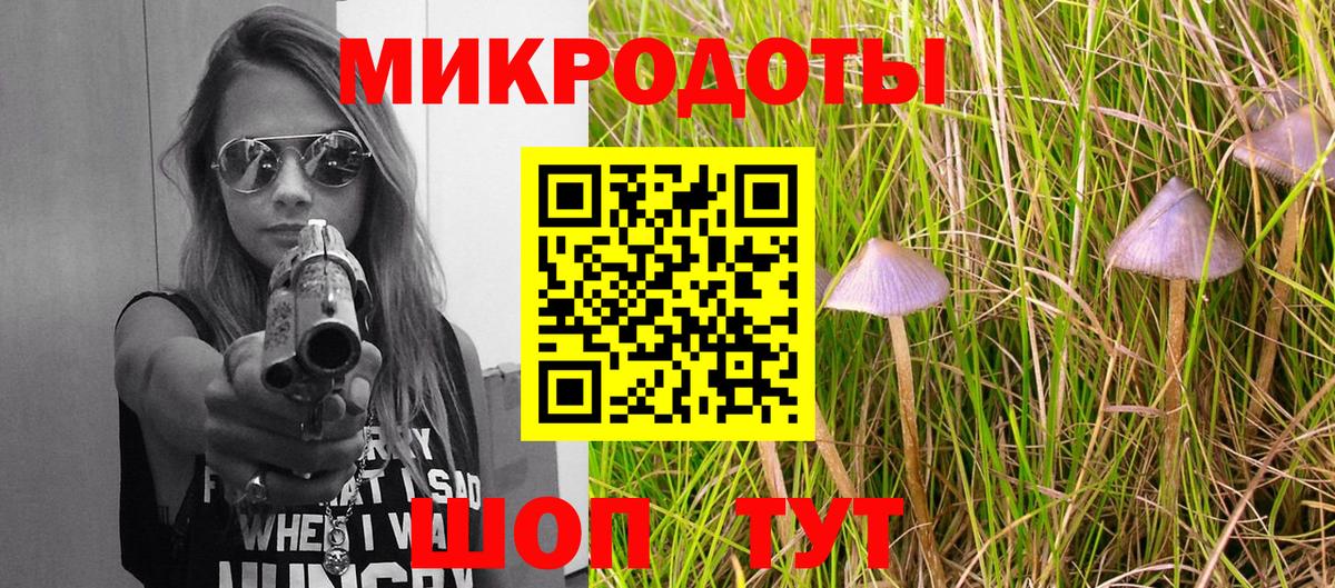 Псилоцибиновые грибы Cubensis Лосино-Петровский